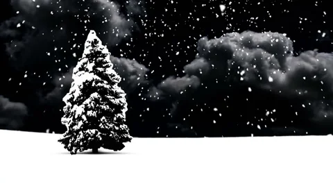Christmas Snow Stock Footage 44873623
