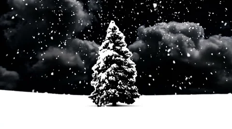 Christmas Snow Stock Footage 44873715
