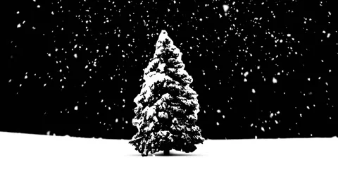 Christmas Snow Stock Footage 44873730