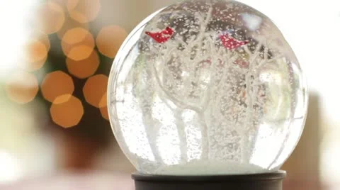 Christmas Snow Globe Stock-Footage 12679745