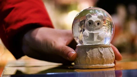 Christmas snow globe with an owl inside shakes and puts on the table a female Stock Footage 69889308