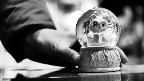Christmas snow globe with an owl inside shakes and puts on the table a female Stock Footage 82244058