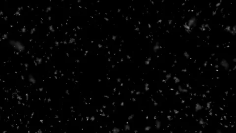Christmas Snow Thick Falling Close- Super Slow - Medium Shot - Loop Stock Footage 120873777
