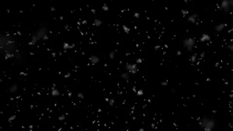 Christmas Snow Thick Falling - Super Slow - Medium Shot - Loop Stock Footage 120873750