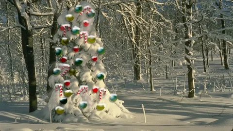 Christmas snow tree Stock Footage 70360741