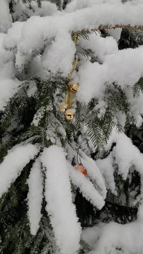 Christmas. snowfall in the forest in winter. vertical video Stock Footage 296723970