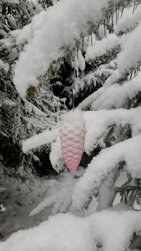 Christmas. snowfall in the forest in winter. vertical video Video stock 296723971