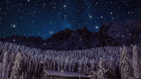 Christmas Snowfall loop photo Animation Background Stock Footage 224442549