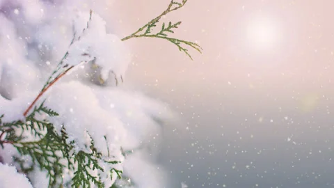 Christmas Snowfall loop photo Animation Background Stock Footage 224855815