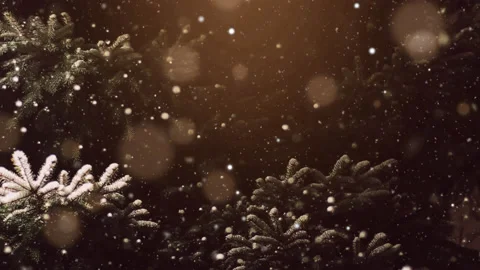 Christmas Snowfall loop photo Animation Background Stock Footage 225018287