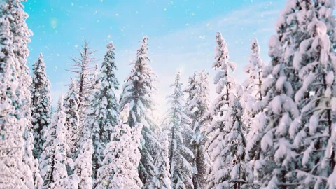 Christmas Snowfall loop photo Animation Background Stock Footage 225027140