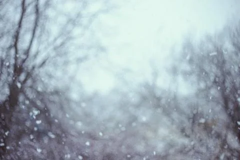 Christmas snowflake Stock Photos