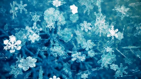 Christmas Snowflakes Falling Stock Footage 87483510