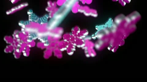 Christmas snowflakes Stock Footage 13736874