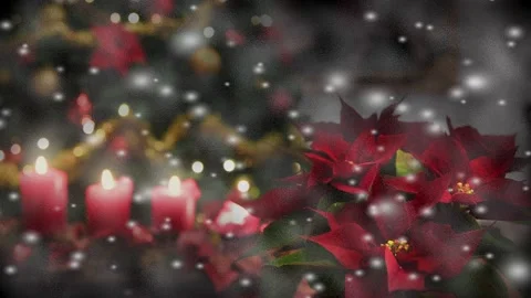 Christmas snowing , tree decorated window Stock Footage 143119006