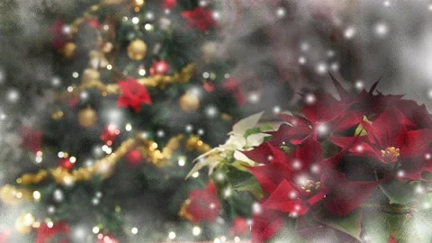 Christmas snowing , tree decorated window Stock Footage 143119225