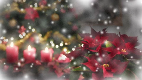 Christmas snowing , tree decorated window Stock Footage 143119227