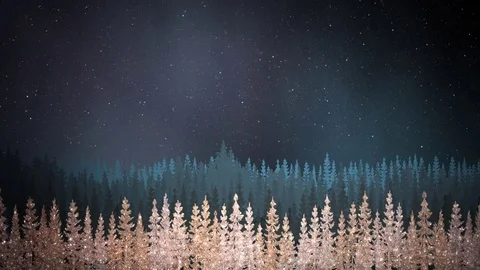 Christmas Sparkle 2 Stock Footage 82591892