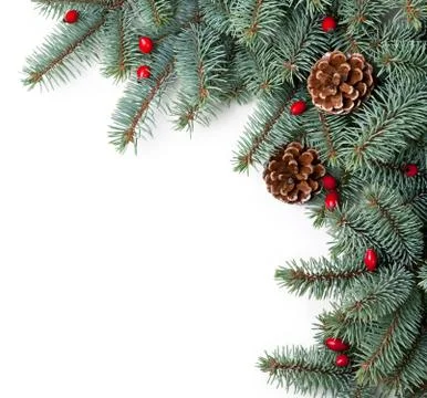Christmas spruce Stock Photos