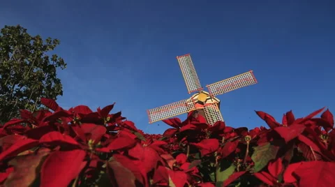 Christmas star Stock Footage 46804089