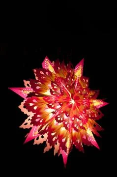 Christmas Star Stock Photos