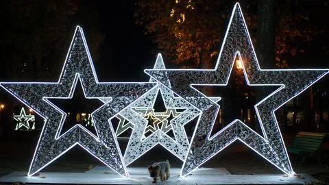 Christmas Star Foto stock