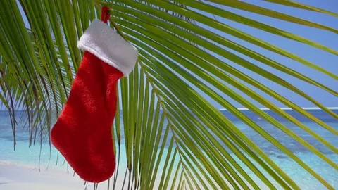 Christmas stocking hanging on coconut palm tree leaf at tropical sandy beach Stock Footage