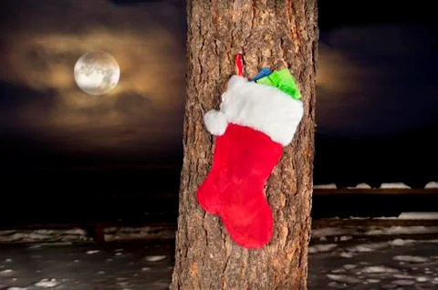 Christmas stocking on pine tree Stock Photos