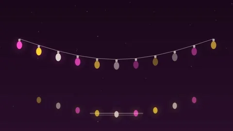 Christmas string lights garland twinkling berry loop 스톡 동영상 342614138