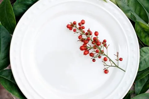Christmas Table Setting with Red Berries Stock Photos