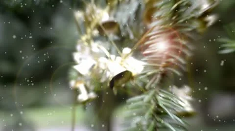 Christmas Theme Background 스톡 동영상 8912633