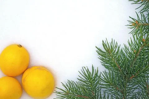 Christmas theme with place for text. Stock Photos