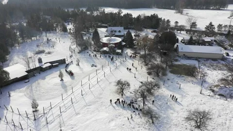 Christmas themed event with train pulling sleds and people petting deer Stock Footage 144515969