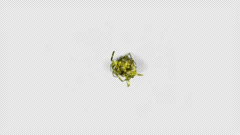 Christmas Things Paper Animations Motion Graphics Pack Stock Footage 293113782