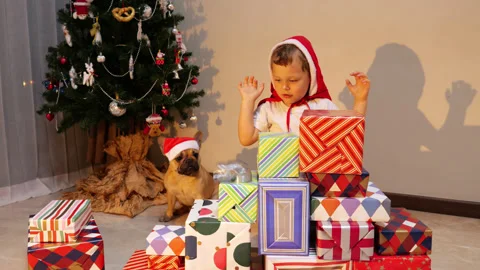 Christmas time, child playing with spring on wrapped gifts with french bulldog Stock Footage 300370628