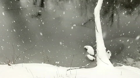 Christmas Time Stock Footage 769071