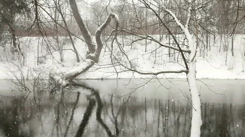 Christmas Time 스톡 동영상 769103