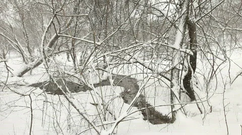 Christmas Time Video stock 769111