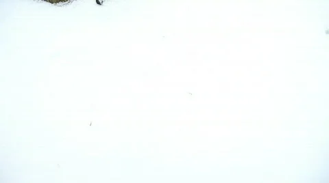 Christmas Time Stock Footage 769178