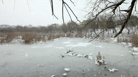 Christmas Time Video stock 769225