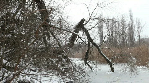 Christmas Time Stock Footage 769241