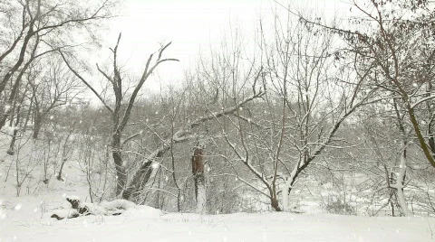 Christmas Time Video stock 846873