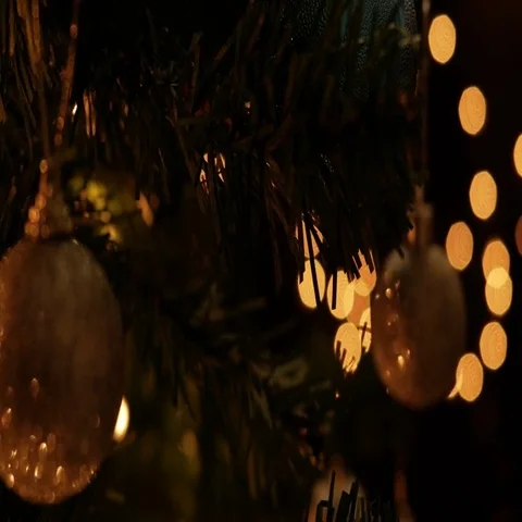 Christmas Time Stock Footage 69727383
