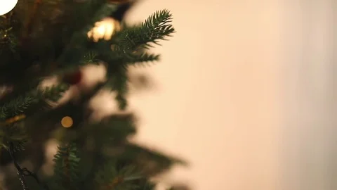 Christmas time Stock Footage 80424971