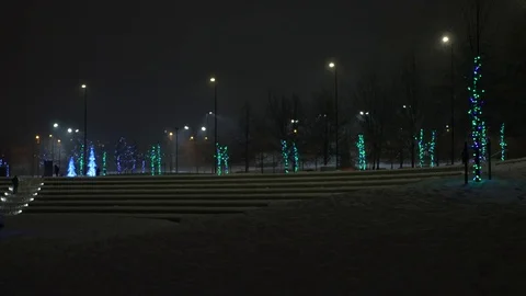 Christmas time park in the night Stock Footage 70542277