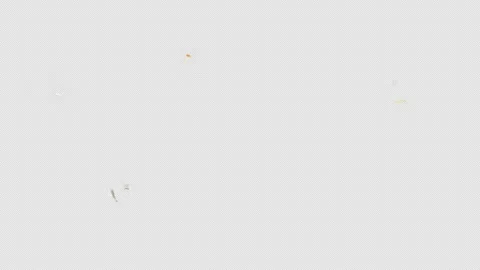 Christmas Titles Motion Graphics Stock Footage 295906793