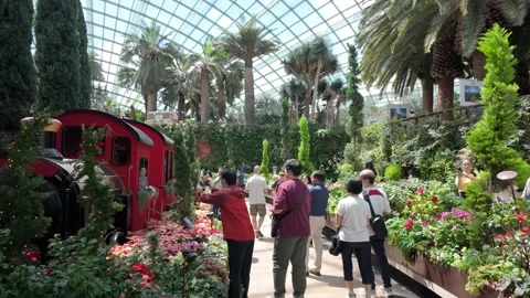 Christmas Train Display Inside Flower Dome at Gardens by the Bay Singapore Stock-Footage 346986998