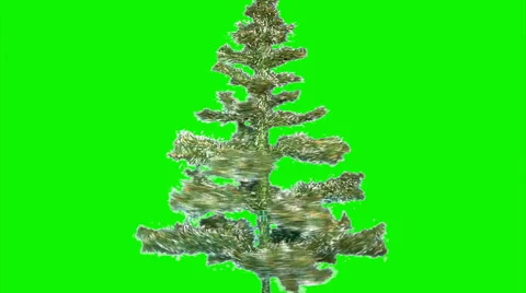 Christmas tree 01 Stock Footage 43162852