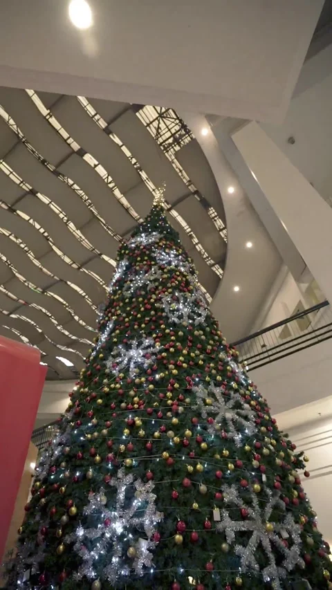 Christmas tree 01 Stock Footage 324906983