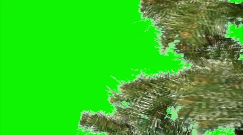 Christmas tree 05 Stock Footage 43165165